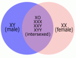 Intersexed individuals have genital ambiguity and/or gene combinations other than XY-male and XX-female