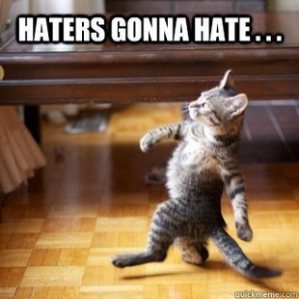 Catitude: Haters gonna hate... and so what?